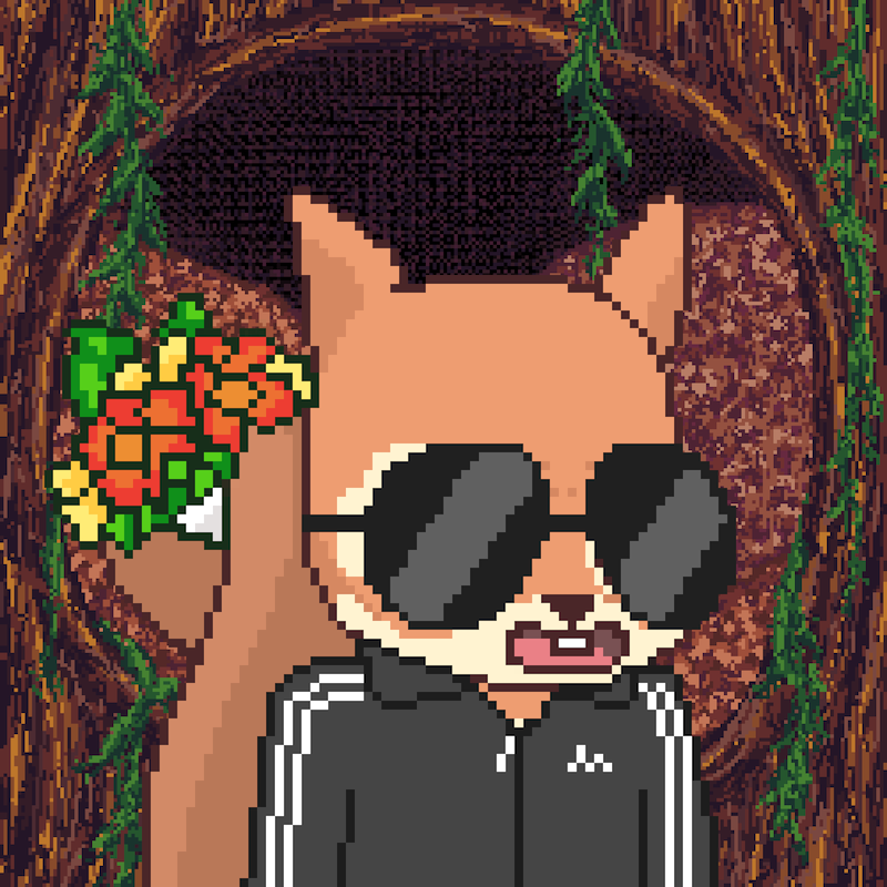 Pixel Squirrels #8448